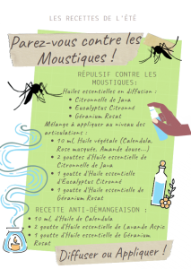 Recette Anti Moustiques Naturelle