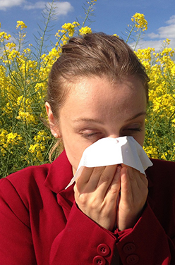 Allergie au pollen : symptômes et remèdes naturels