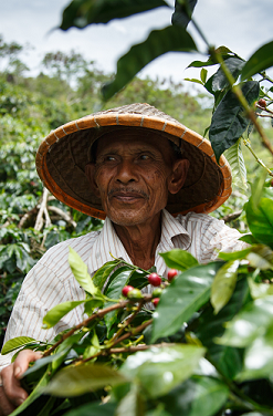 Engagé dès le réveil avec le café bio et équitable !